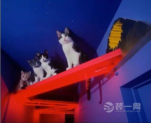 猫奴家居装修新花样 专属喵星人的猫舍设计 -