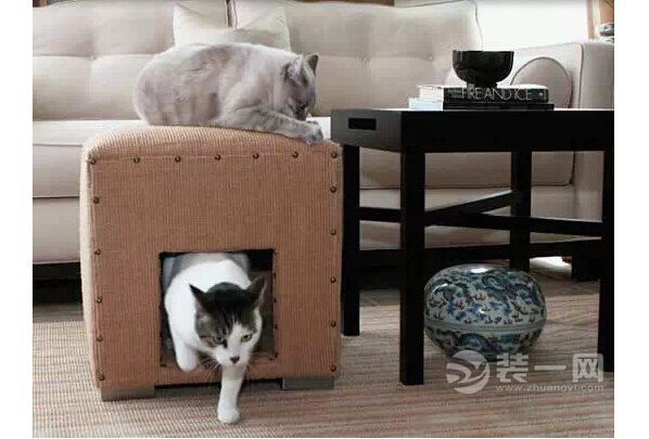 猫奴家居装修新花样 专属喵星人的猫舍设计 -