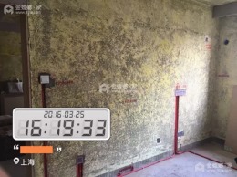 新湖明珠城