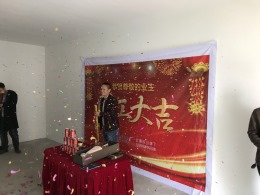 【蘑菇加装饰】韵青城小区