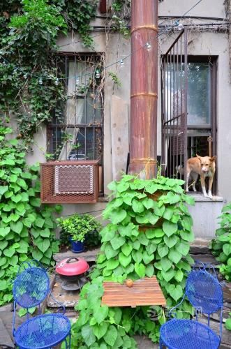 古典欧式风格装修效果图