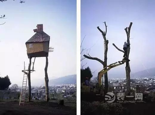 树屋设计