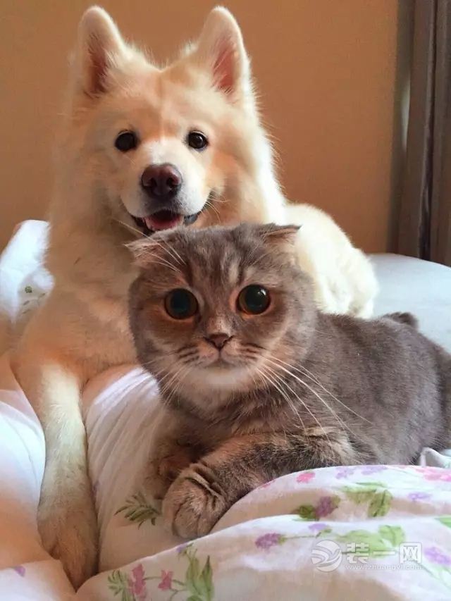 出租房装修效果图